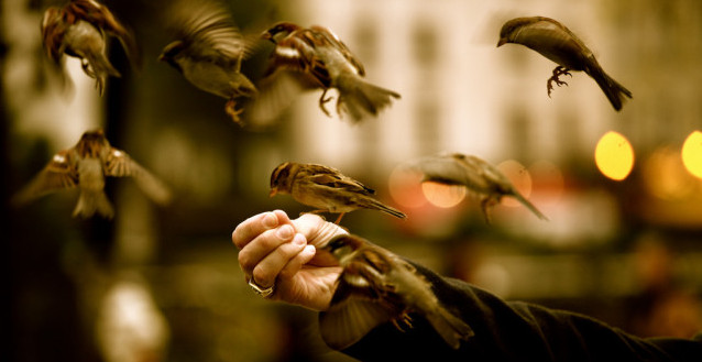 Flying Lessons