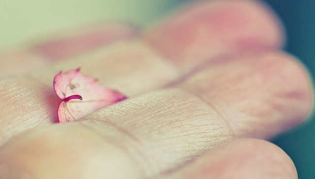 Just because….
