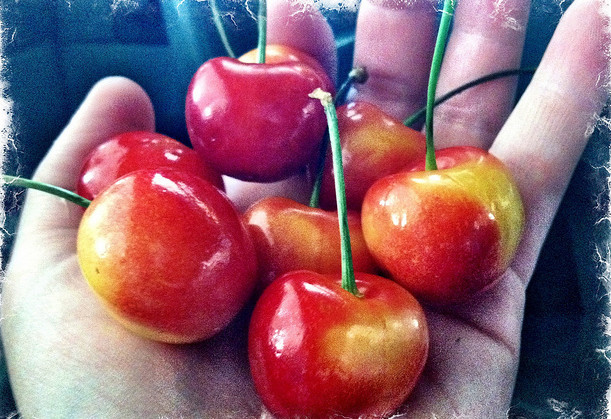 Life Is Just A Bowl Of Cherries